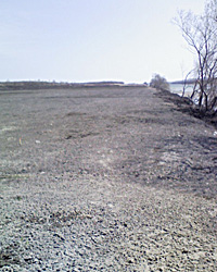 a0050669_143212.jpg