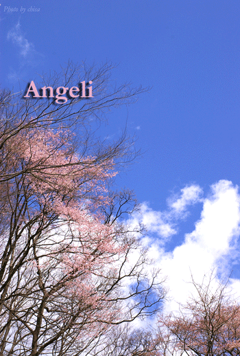 f0227975_22225697.gif
