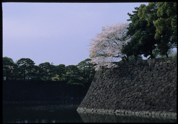 a0053783_0234456.jpg