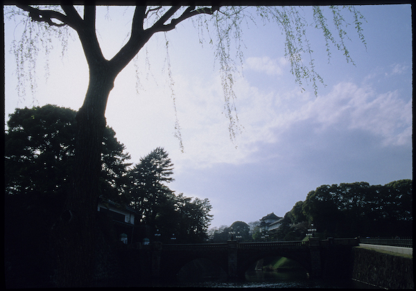 a0053783_023782.jpg