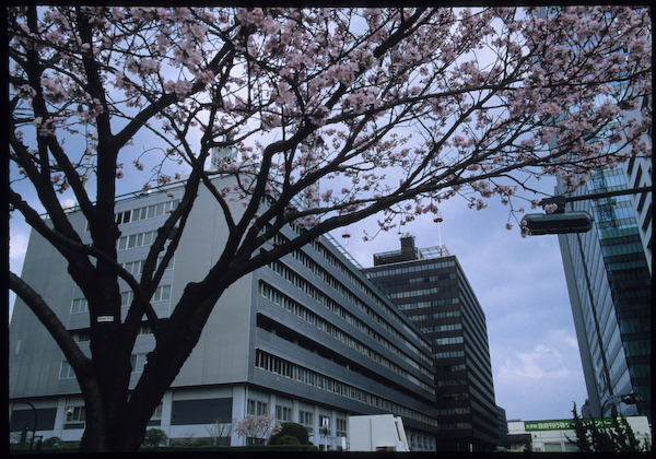 a0053783_024661.jpg