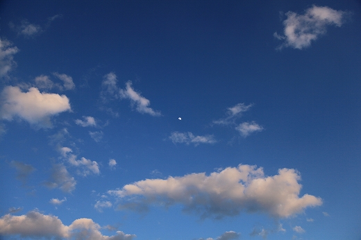 e0190885_2055931.jpg