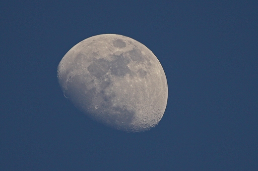 e0190885_206535.jpg