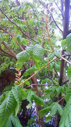a0130586_21101094.jpg
