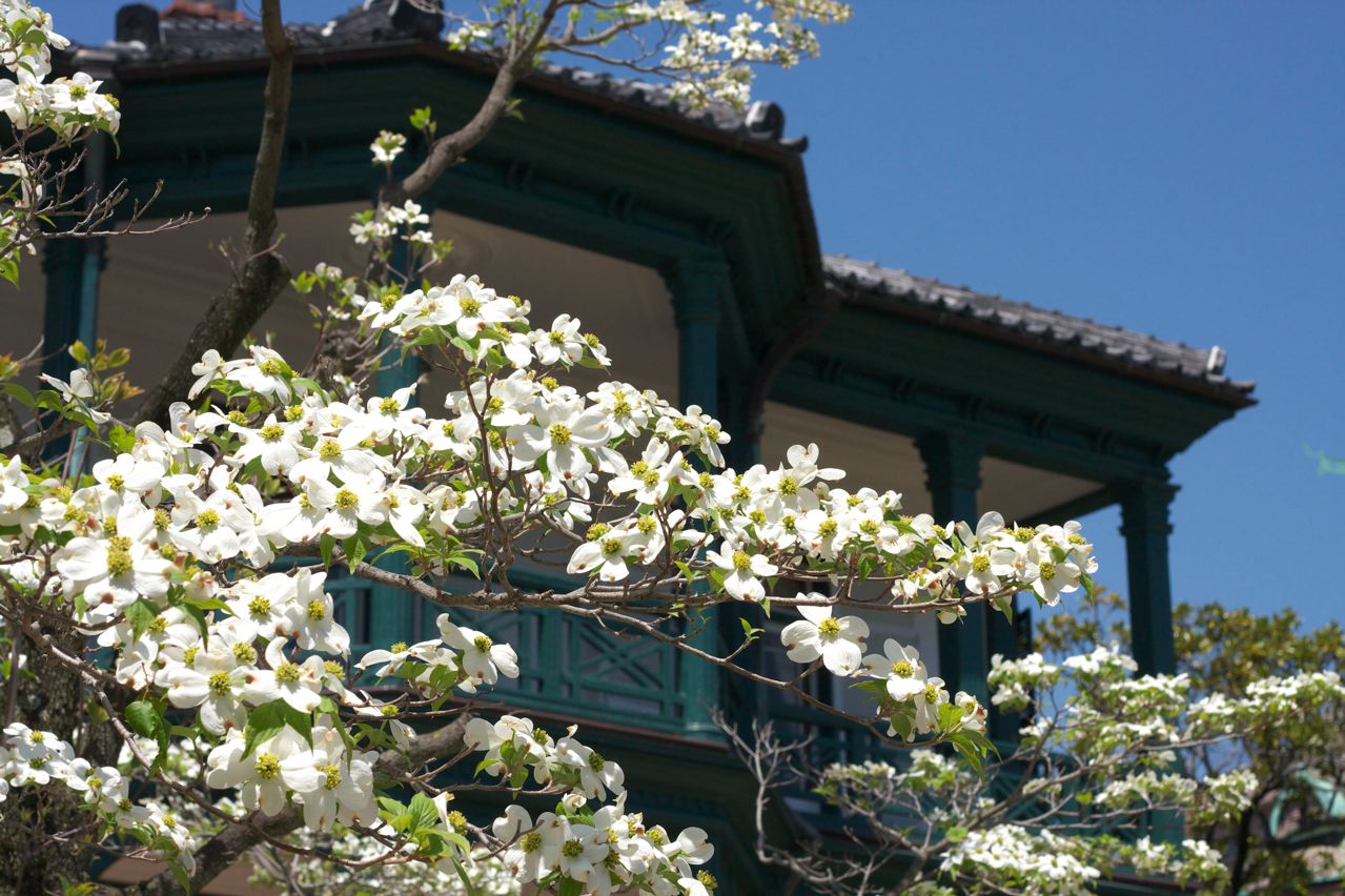 c0190391_18124739.jpg