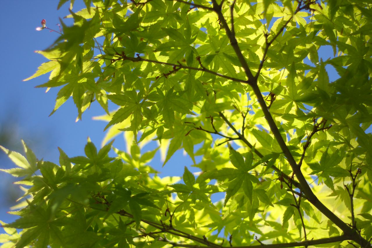 c0190391_1813370.jpg