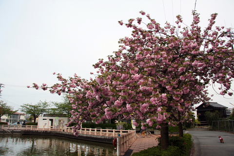 b0104592_22285996.jpg