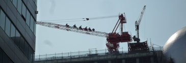 c0168096_8533911.jpg