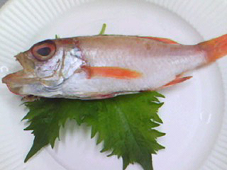 f0008597_20265060.jpg