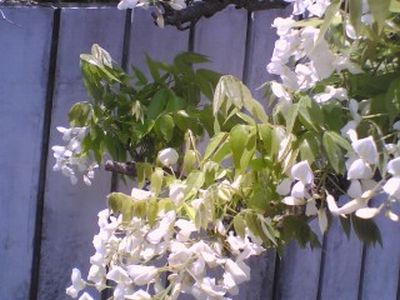 f0201297_22592096.jpg