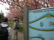 e0033301_16451336.jpg