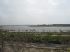 e0033301_178836.jpg