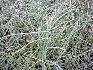 c0163102_22222017.jpg