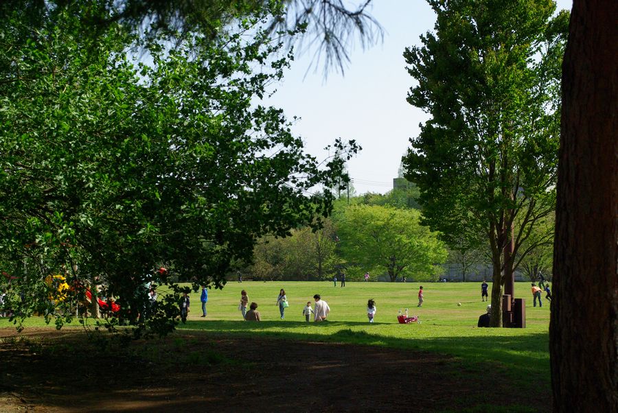 c0187503_20452087.jpg