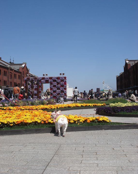 b0148106_7454897.jpg