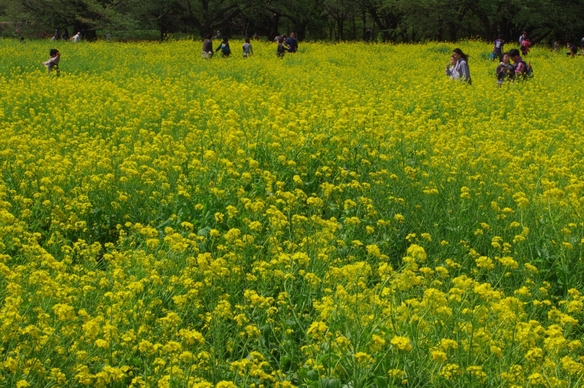 c0156908_23421685.jpg