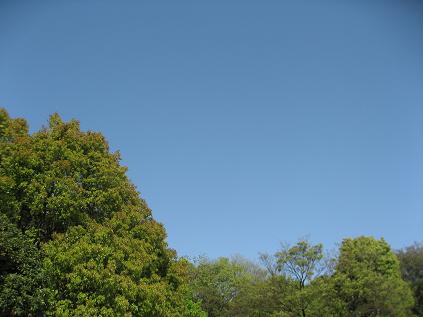 a0149809_2344151.jpg