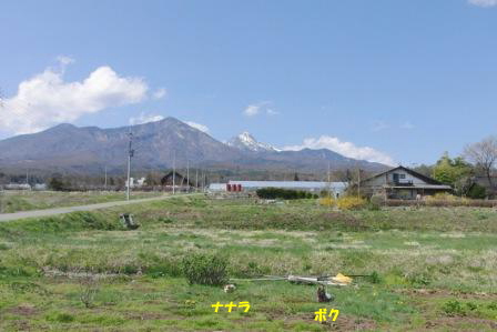 e0078510_12282.jpg