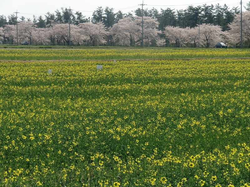 f0213613_16525767.jpg