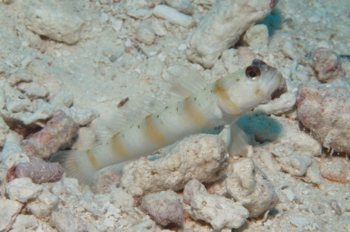 b0155916_2343045.jpg