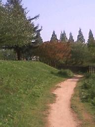 a0170017_17295370.jpg