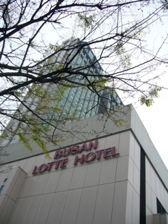 f0143521_9354215.jpg