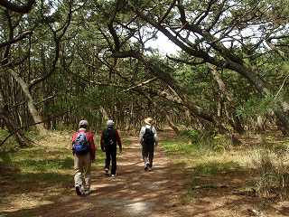 b0008825_2246874.jpg