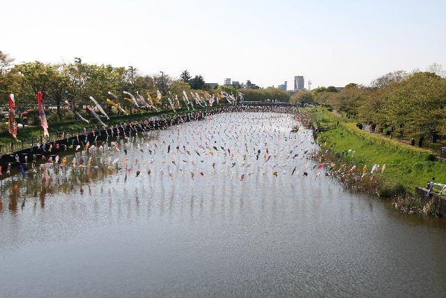 e0064133_0433367.jpg