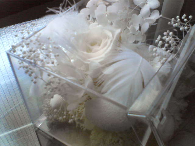 f0237037_13343768.jpg