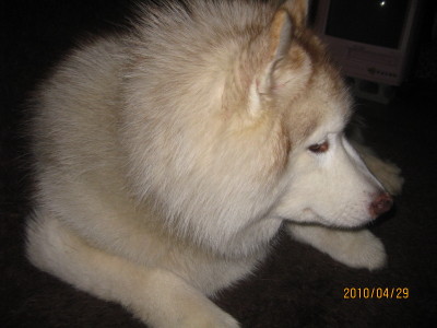 e0121548_2114011.jpg