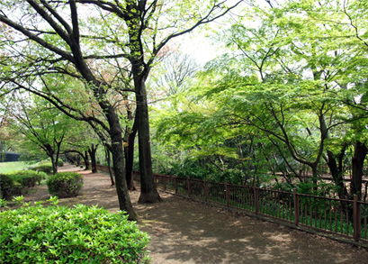 a0068151_822776.jpg