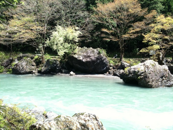 b0048854_1321627.jpg