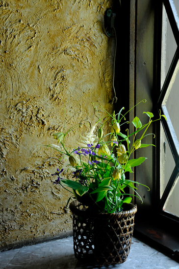 f0176458_131511.jpg