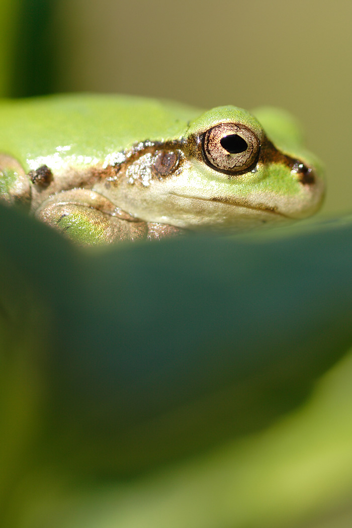 d0148060_18364337.jpg