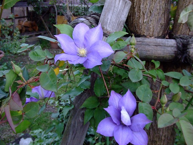 a0104162_21244667.jpg