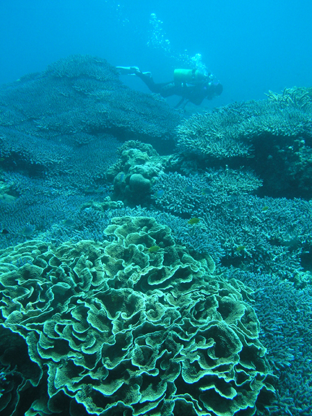 b0062363_19203370.jpg