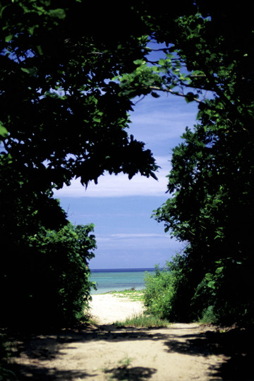 f0110663_12535940.jpg