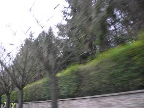 c0221565_9303748.jpg