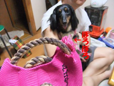 c0151866_2131323.jpg