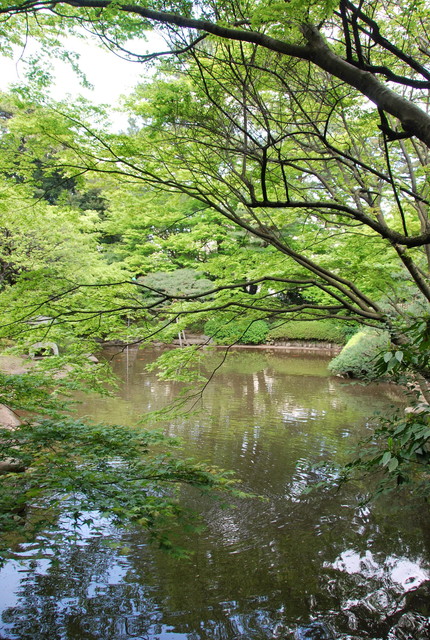 b0174068_2122151.jpg
