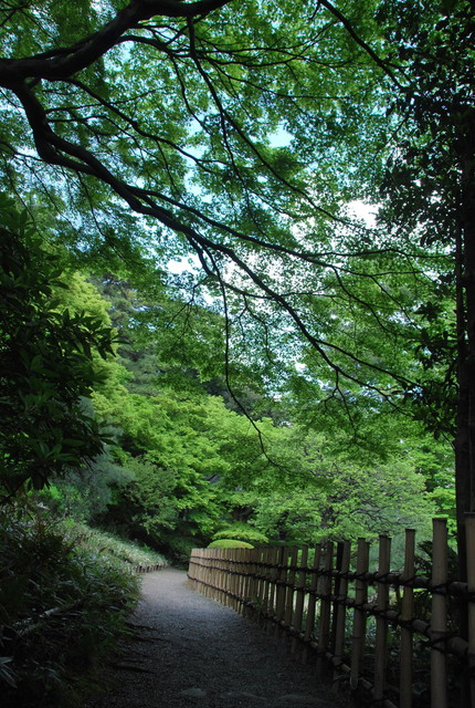 b0174068_21222135.jpg