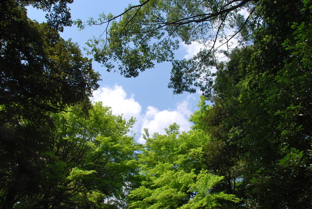 b0174068_21235817.jpg