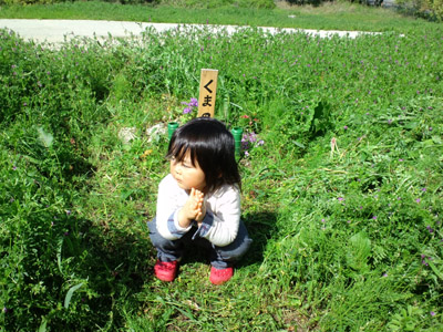a0118270_2495030.jpg
