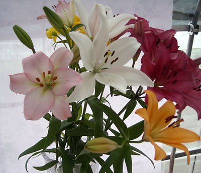 e0097770_037624.jpg