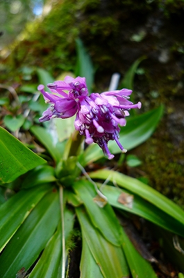 f0182173_10402675.jpg