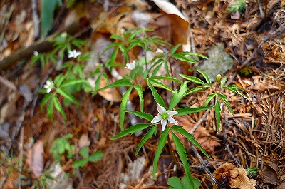 f0182173_1040405.jpg