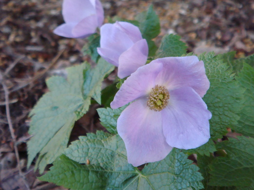 f0231573_20274525.jpg
