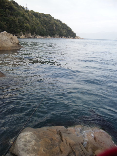 a0120877_20472562.jpg