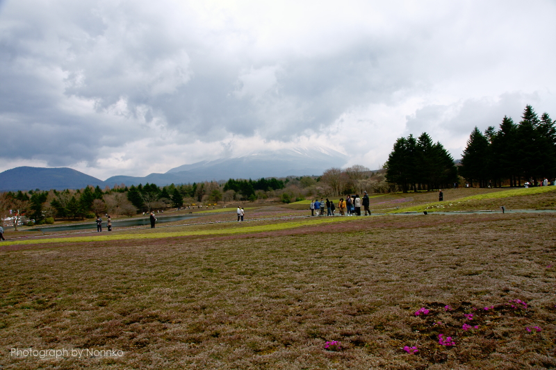 c0106977_22255839.jpg