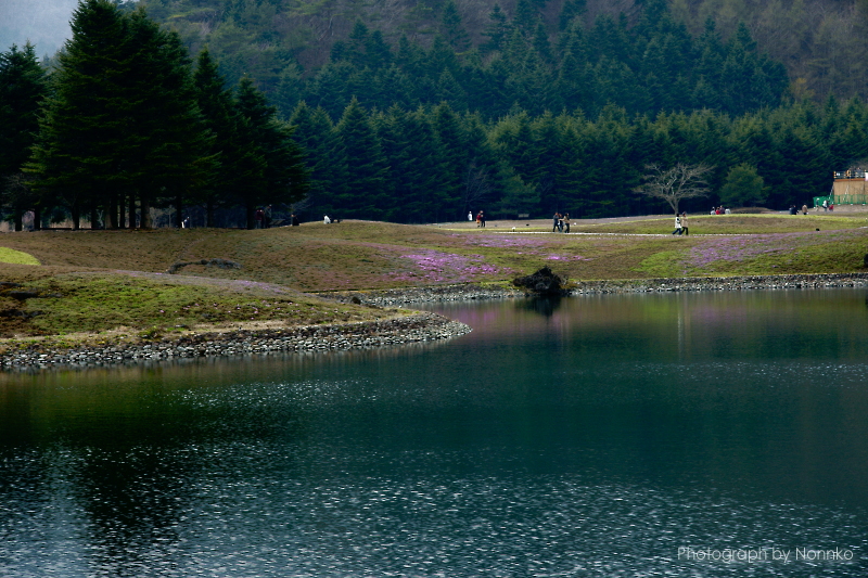 c0106977_22291197.jpg
